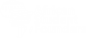 African Student Founders logo